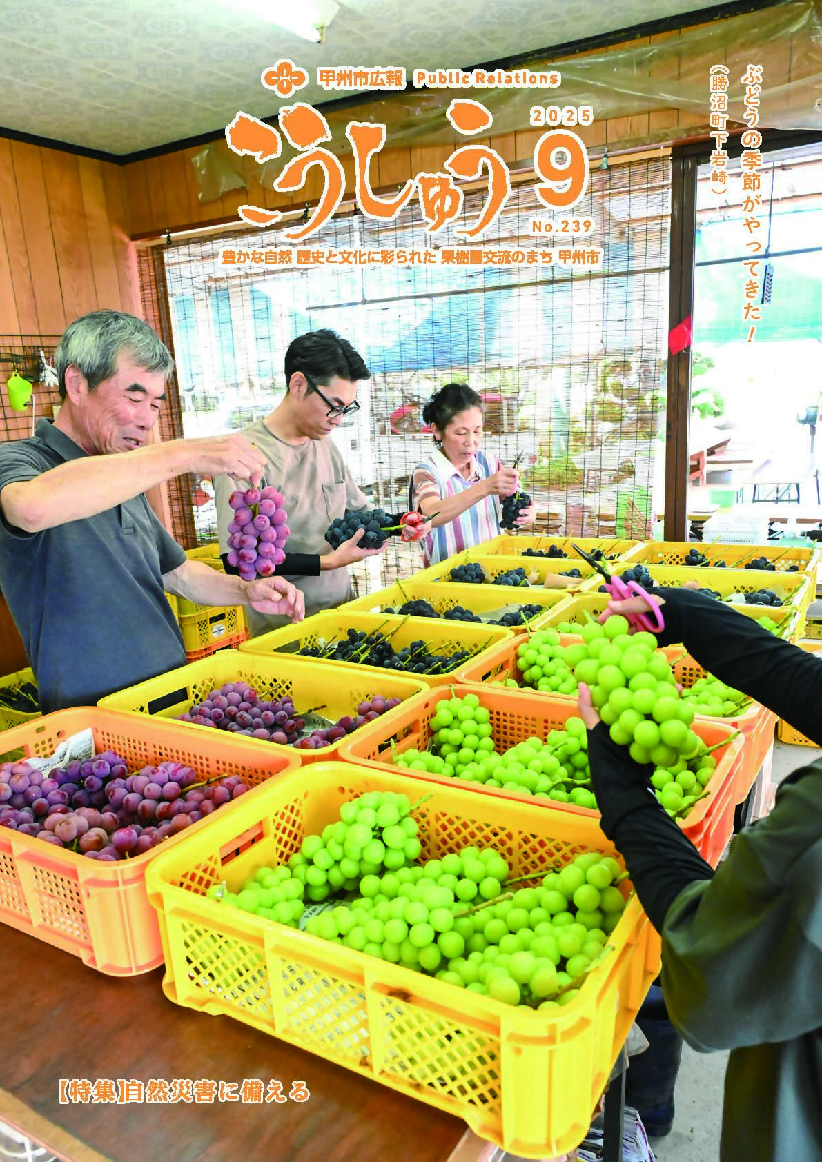 甲州市広報誌「広報こうしゅう」